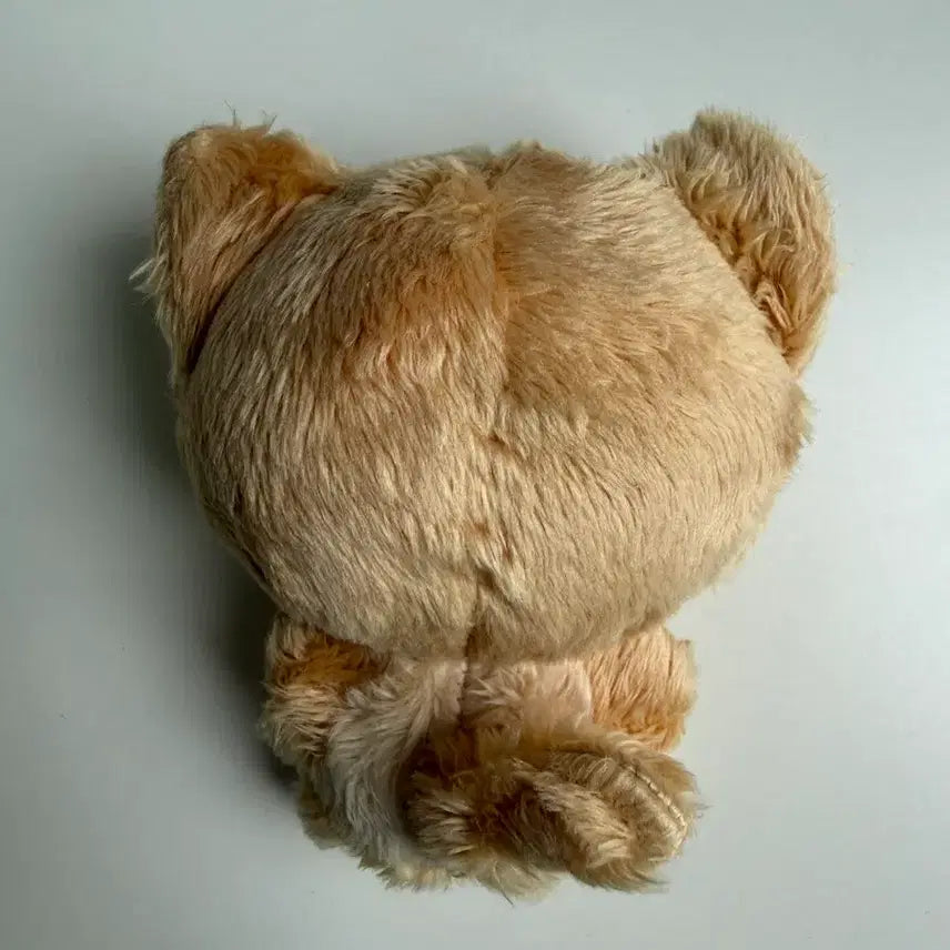 [BUNJANG] Kyoongie Kyo Cat Doll / 쿄카 인형 태냥쿄 양도