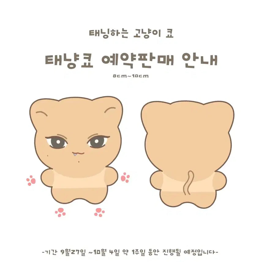 [BUNJANG] Kyoongie Kyo Cat Doll / 쿄카 인형 태냥쿄 양도
