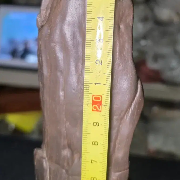 [BUNJANG] Libyan Petrified Wood Fossil / 리비아응축규화목