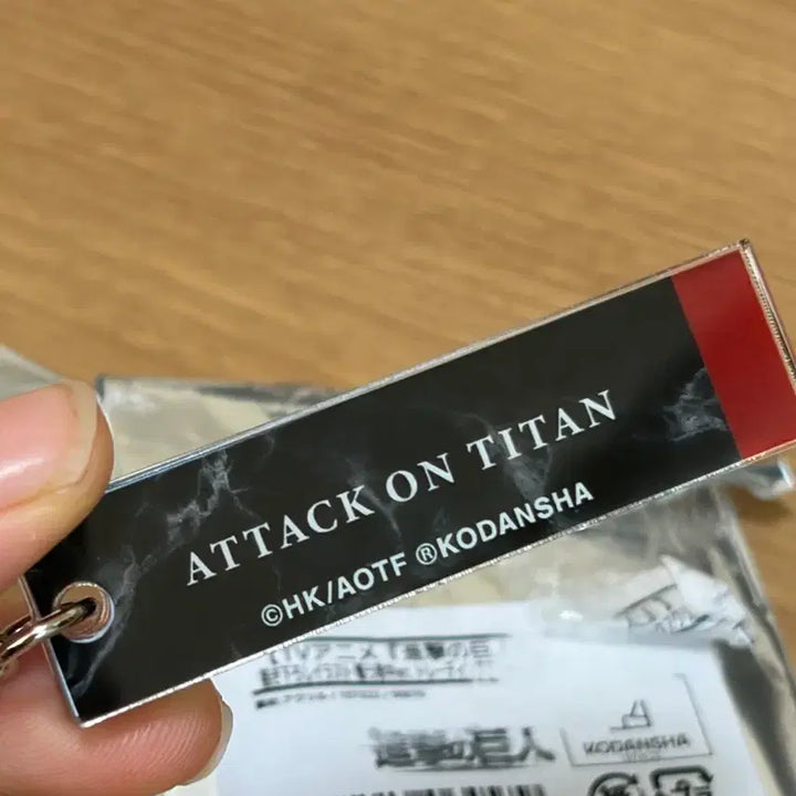[BUNJANG] Attack on Titan Eren Keychain &amp; Badge Set / 진격의 거인 에렌 키링 뱃지