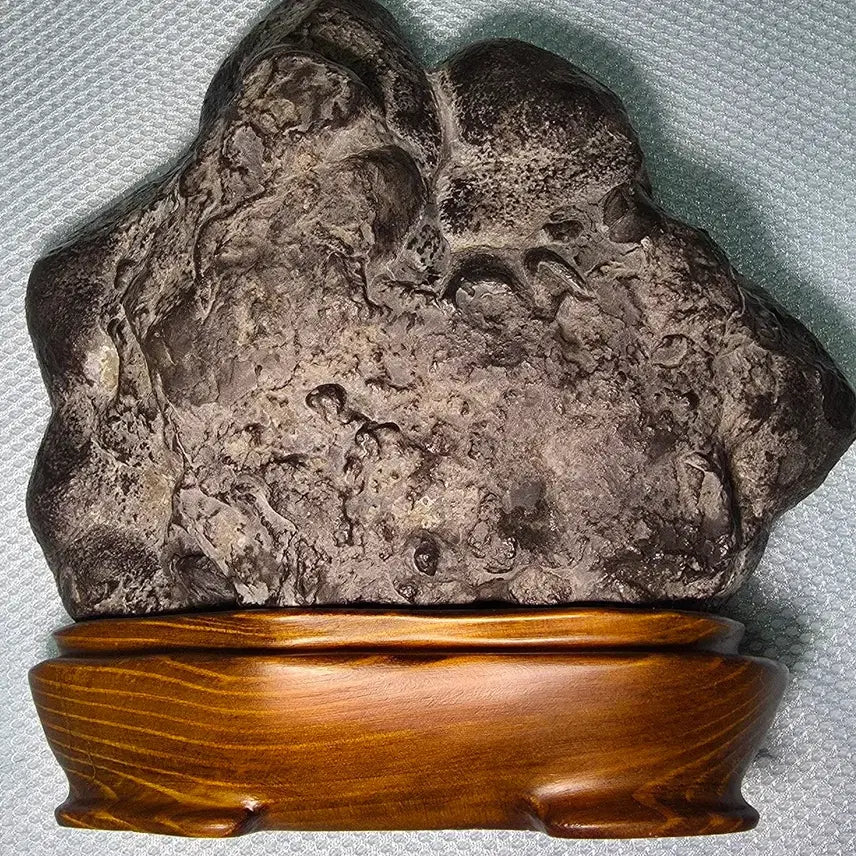 [BUNJANG] Stromatolite Fossil / 스트로마톨라이트화석