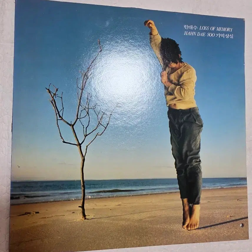 [BUNJANG] Han Dae-soo "Gieok Sangsil" LP (First Press) / 한대수 LP 초반 기억 상실