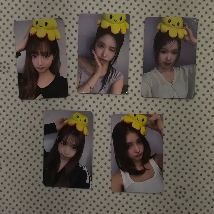 [BUNJANG] Hitgs POB Octopus Double-Sided Photocard Apple Music Set / 힛지스 hitgs 특전 문어 양면포카 애플뮤직 5종 세트