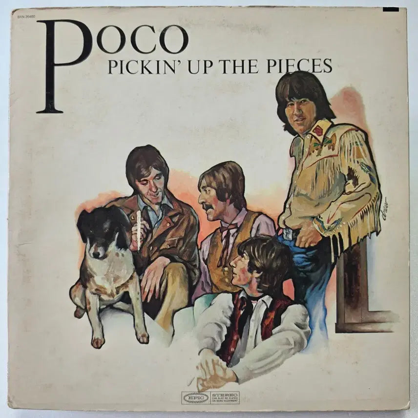 [BUNJANG] Poco Pickin&