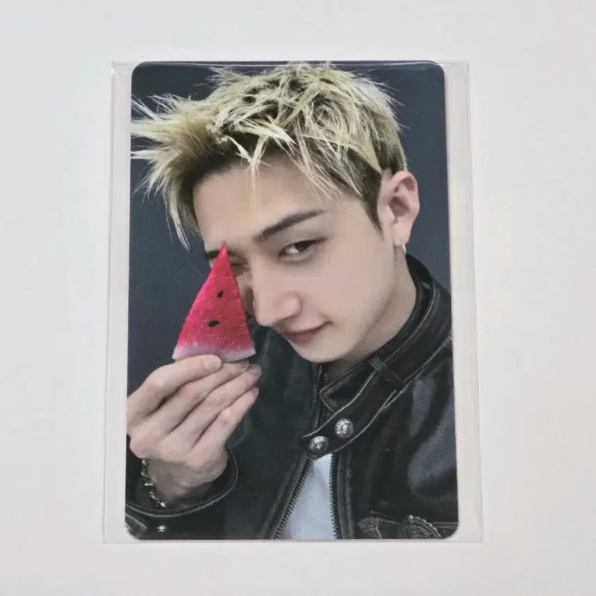 [BUNJANG] Stray Kids Bang Chan Wolf Chan Pre-order Fanship Photocard / 스트레이키즈 스키즈 방찬 울프찬 예판 팬즈샵 포카 양도