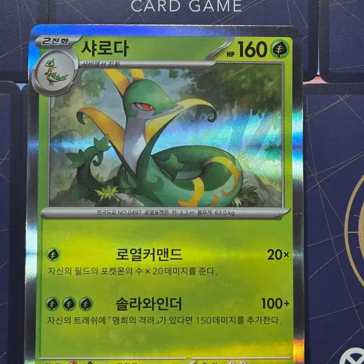 [BUNJANG] Pokemon Chikorita Bayleef Servine Bundle Set / 포켓몬 카드 치코리타 베이리프 샤로다 일관 판매