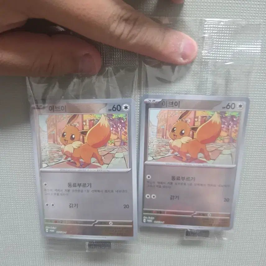 [BUNJANG] Jinx Eevee Promo Card Set / 징크스, 이브이 프로모 카드