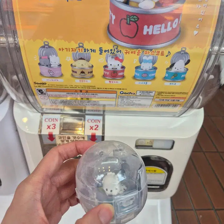 [BUNJANG] Takara Tomy Arts Sanrio Canned Gacha Pochacco New Product / 타카라토미아츠 산리오 통조림 가챠 (포챠코) 새상품