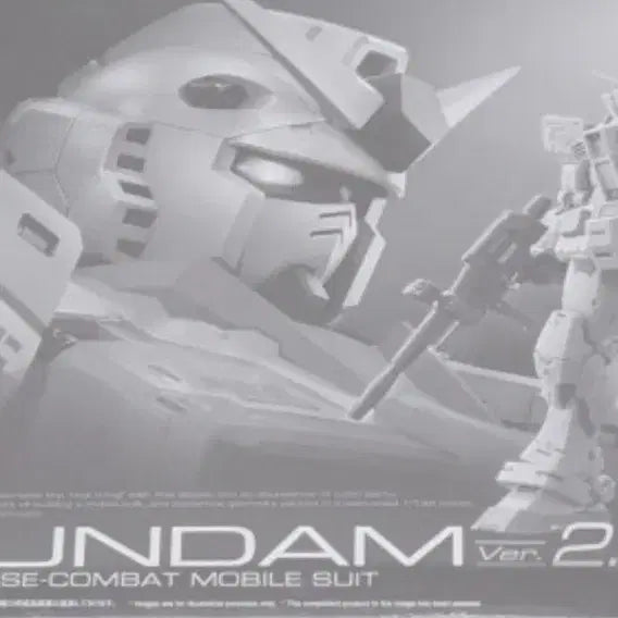 [BUNJANG] RG Gundam 2.0 G3 / (배송비 포함) RG 건담 2.0 G3
