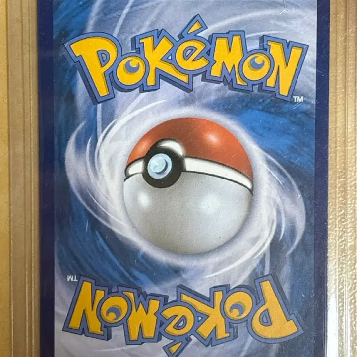 [BUNJANG] Pokemon GO Charizard / 포켓몬고 리자몽
