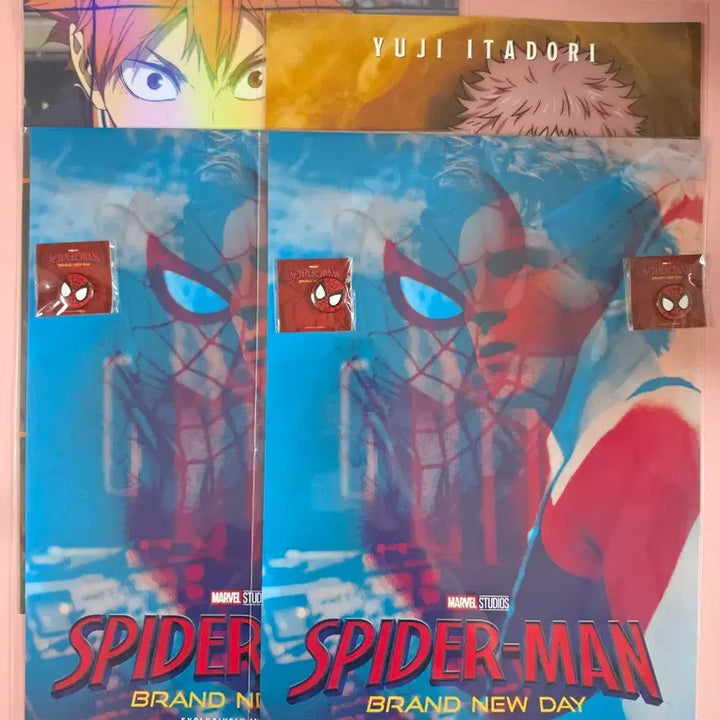 [BUNJANG] Spider-Man Dual Poster (Sealed) / 스파이더맨 듀얼 및 키비쥬얼 포스터 2개&amp;핀뱃지 4개(미개봉)
