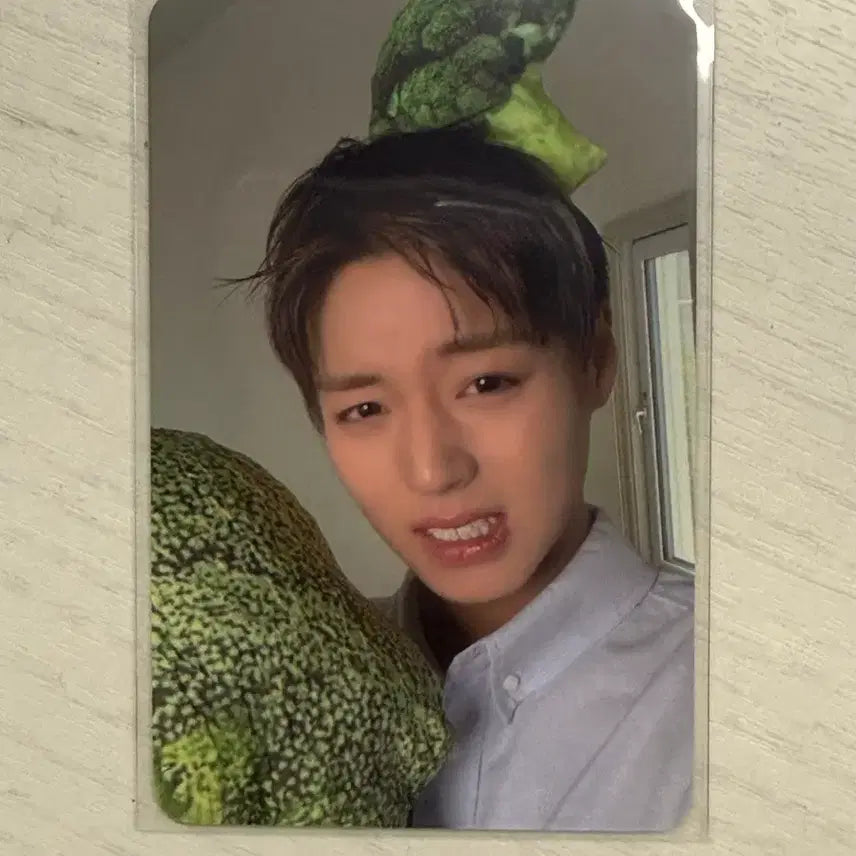 [BUNJANG] Park Jihoon Forment Broccoli Photocard / 박지훈 포맨트 브로콜리 포카