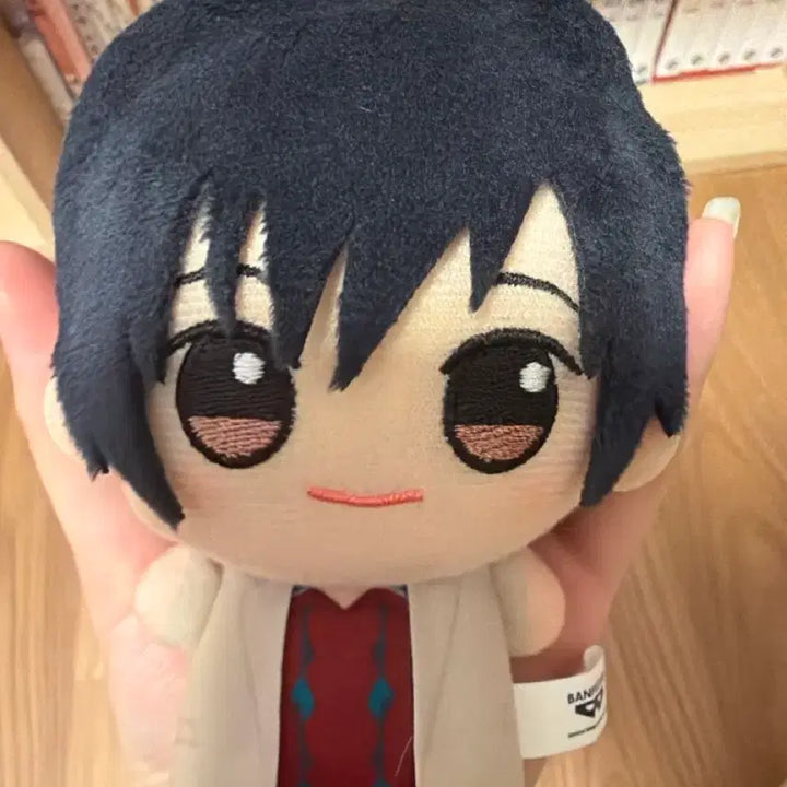 [BUNJANG] Nagumo Yoichi Plush / 나구모 누이