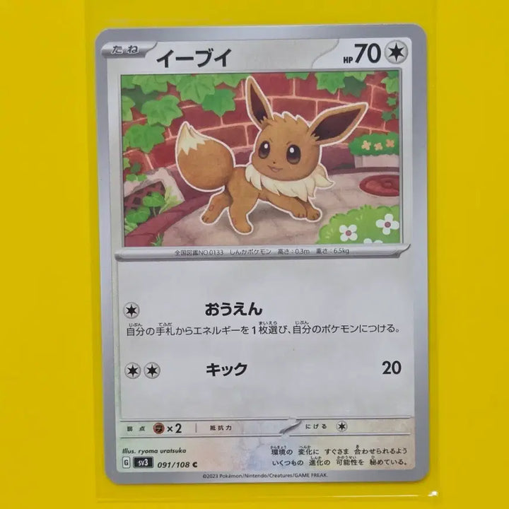 [BUNJANG] Pokemon Card Eevee Japanese / 포켓몬카드 이브이 일판