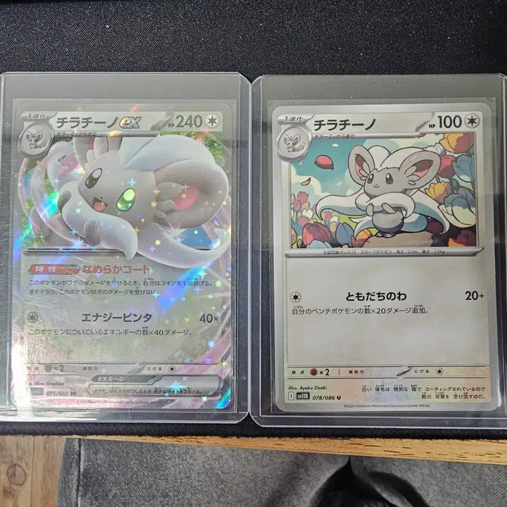 [BUNJANG] Chien-Pao Set Japanese Pokemon Card / 일판 포켓몬 카드 치라치노 세트