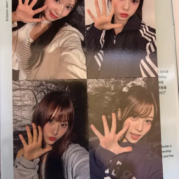 [BUNJANG] Resene Yaho Booklet (8 Photocards Included) / 리센느 야호 책자(포토카드 8종 포함)