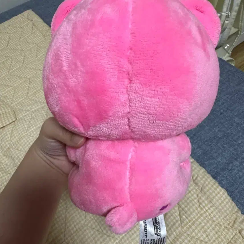 [BUNJANG] Hello Kitty Care Bears Collaboration Plush / 헬로키티 케어베어 콜라보 인형 새상품 판매중 택O