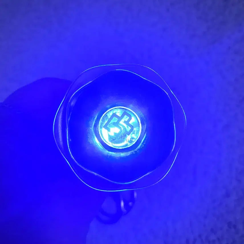 [BUNJANG] BTOB Melbong Nalbong Keychain / 비투비 멜봉 키링 나팔봉 키링