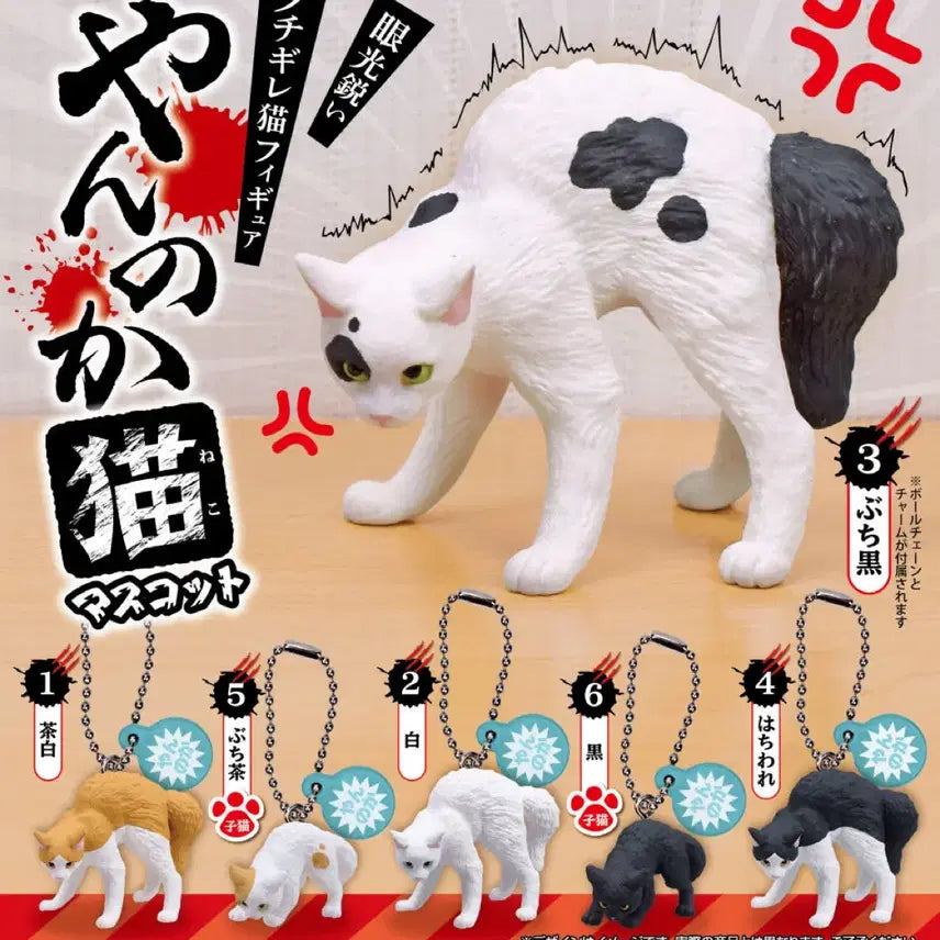 [BUNJANG] Yannoca Angry Cat Mascot Keychain Gacha / 얀노카 화난 고양이 마스코트 키링 가챠