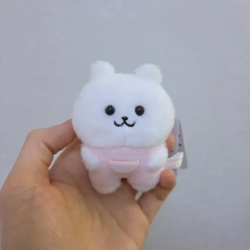 [BUNJANG] Chikawa Park Sylvanian Families Collaboration Set / 치이카와 파크 무슨무슨 바니안 난토카 난또까 실바니안 콜라보