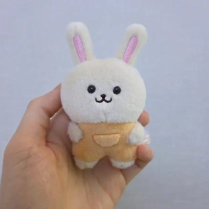 [BUNJANG] Chikawa Park Sylvanian Families Collaboration Set / 치이카와 파크 무슨무슨 바니안 난토카 난또까 실바니안 콜라보