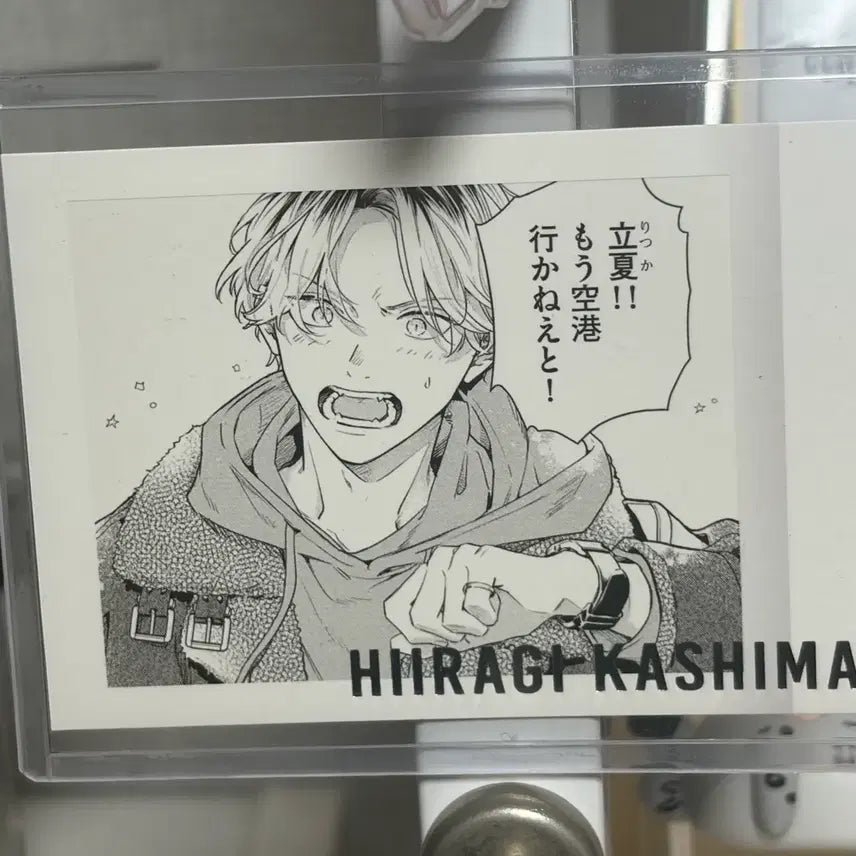 [BUNJANG] Given Hiraragi Pasha / 기븐 히이라기 파샤