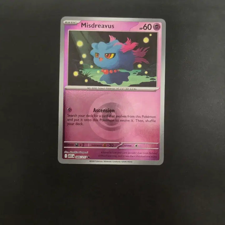[BUNJANG] Pokemon Trading Card - North America - Wooper - Reverse Holo Energy Pattern / 포켓몬카드 북미 무우마 리버스홀로 에너지 패턴