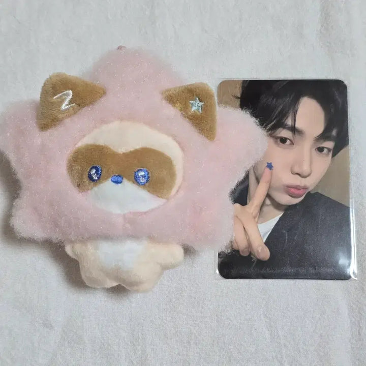 [BUNJANG] ZEROBASEONE Zb1 Shine Hanini Zeroni Plush / 제로베이스원 제베원 별 샤인 하니니 제로니 양도