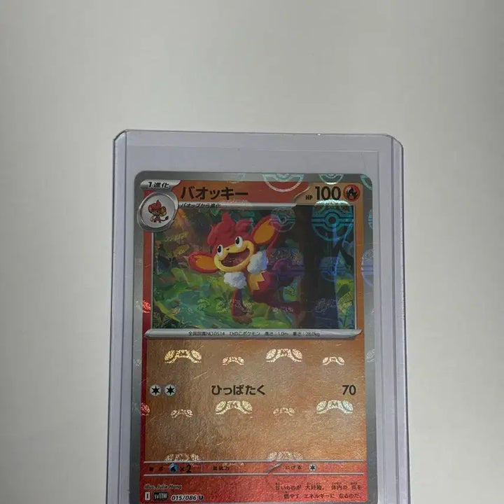 [BUNJANG] Pokemon Card Baokkie Master Ball / (일판) 포켓몬카드 바오키 마스터볼