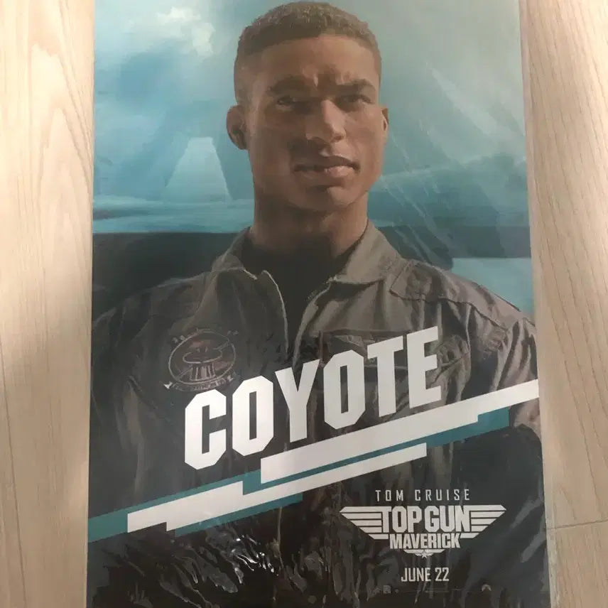[BUNJANG] Top Gun Maverick Rooster &amp; Coyote Poster / 탑건 루스터, 코요테 포스터