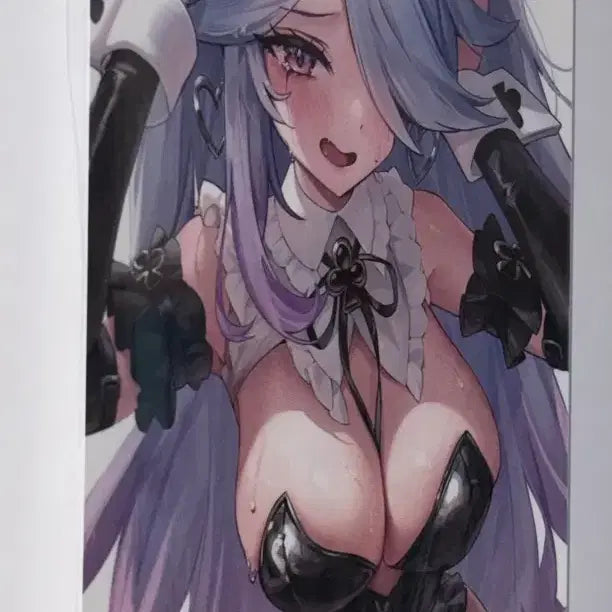 [BUNJANG] Bundle Set Innerspace Return Nivel Arena Chiara Unofficial Card Set / 일괄))이너털리턴 니벨아레나,키아라 비공굿 카드텍