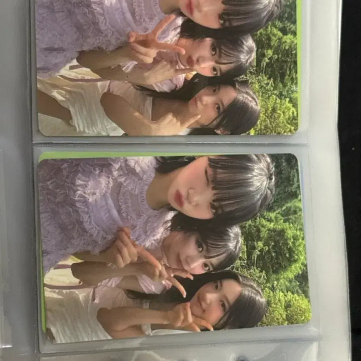 [BUNJANG] LE SSERAFIM Sakura Dicon Photocard Set / 르세라핌 사쿠라 디아이콘 포토카드 세트