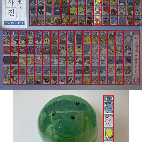 [BUNJANG] Pokemon ID Photo Gacha Vol. 3 Kanto Region (Blastoise, Jigglypuff, Bellsprout, Kingler, Magikarp) / 포켓몬 증명사진 가챠 3탄 관동지방 09 (거북왕, 푸린, 모다피, 킹크랩, 잉어킹)