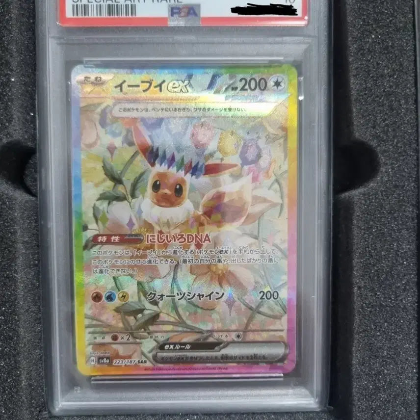 [BUNJANG] Pokemon Eevee EX Special Art Rare SAR PSA 10 / 포켓몬 이브이 EX 스페셜 아트 레어 SAR psa10