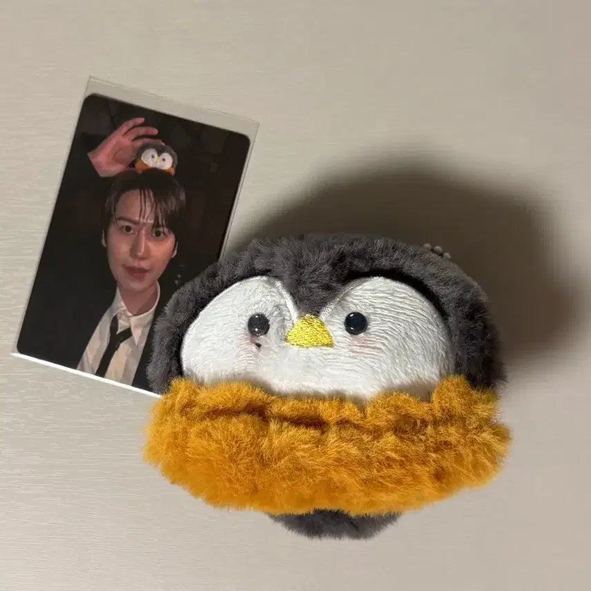[BUNJANG] Kyuhyun (Super Junior) Penguin Plush Toy &amp; Studio Photocard / 규현 뮤뱅 역조공 펭규 펭귄인형+공방포카