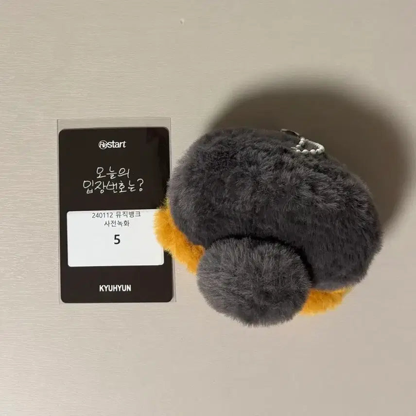 [BUNJANG] Kyuhyun (Super Junior) Penguin Plush Toy &amp; Studio Photocard / 규현 뮤뱅 역조공 펭규 펭귄인형+공방포카
