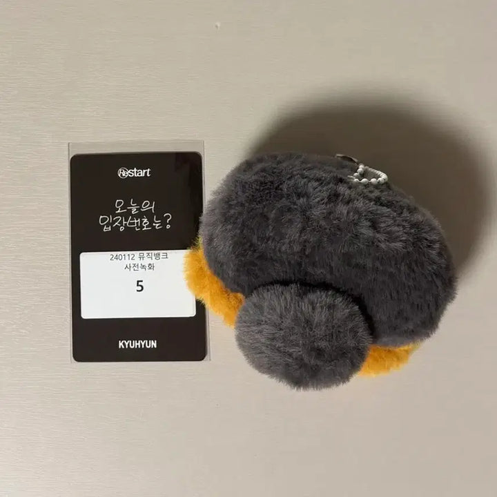 [BUNJANG] Kyuhyun (Super Junior) Penguin Plush Toy &amp; Studio Photocard / 규현 뮤뱅 역조공 펭규 펭귄인형+공방포카