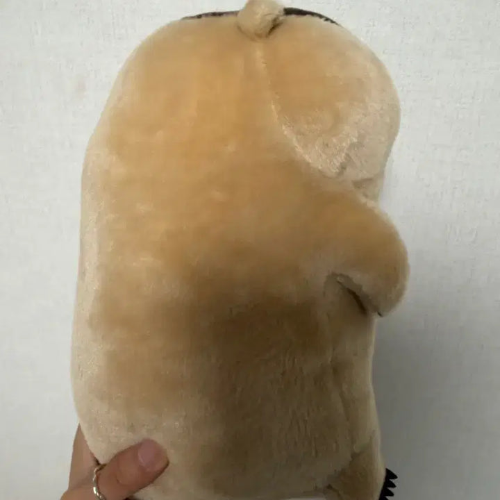 [BUNJANG] Marmot Mottoto Capybara Medium Plush Doll / 마멋 못토토 중형인형 카피바라 판매합니다!!!