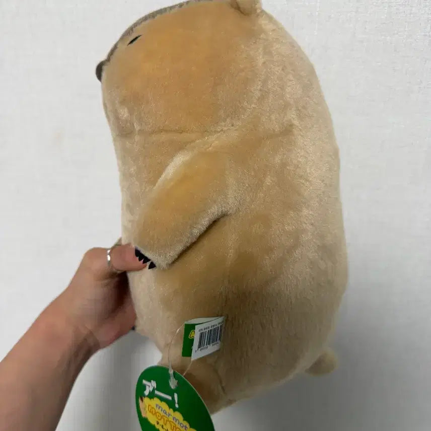 [BUNJANG] Marmot Mottoto Capybara Medium Plush Doll / 마멋 못토토 중형인형 카피바라 판매합니다!!!