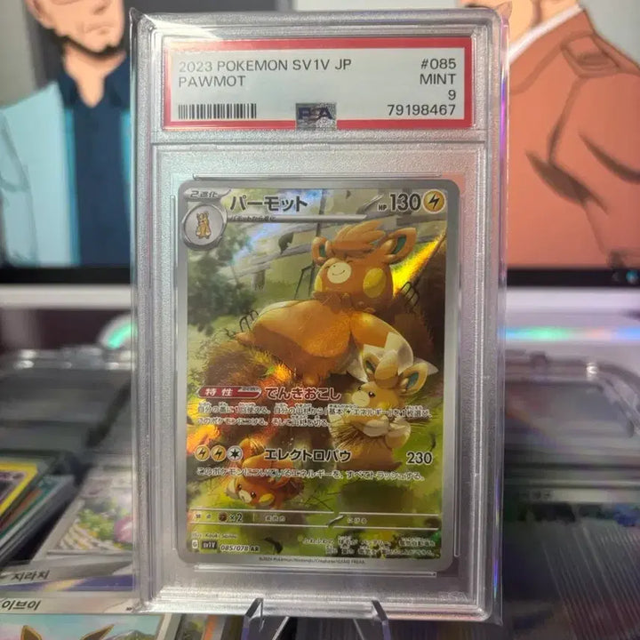 [BUNJANG] Pokemon Card PSA 9 / 빠모트 포켓몬카드 등카판매합니다