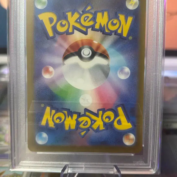 [BUNJANG] Pokemon Card PSA 9 / 빠모트 포켓몬카드 등카판매합니다