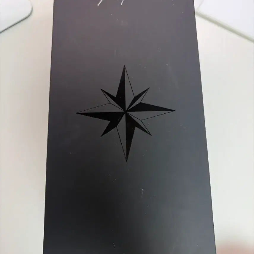 [BUNJANG] Stray Kids Official Light Stick Ver.2 / 스키즈 응원봉 ver2