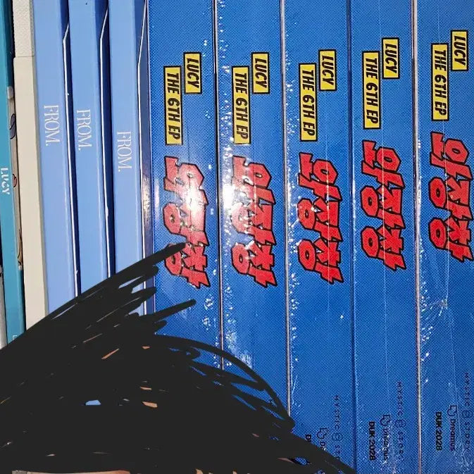 [BUNJANG] LUCY Bundle Set (Signed Photocard, Official Photocard) / LUCY 루시 탈덕 처분 일괄 ( 싸인 포카, 공방 포카 )