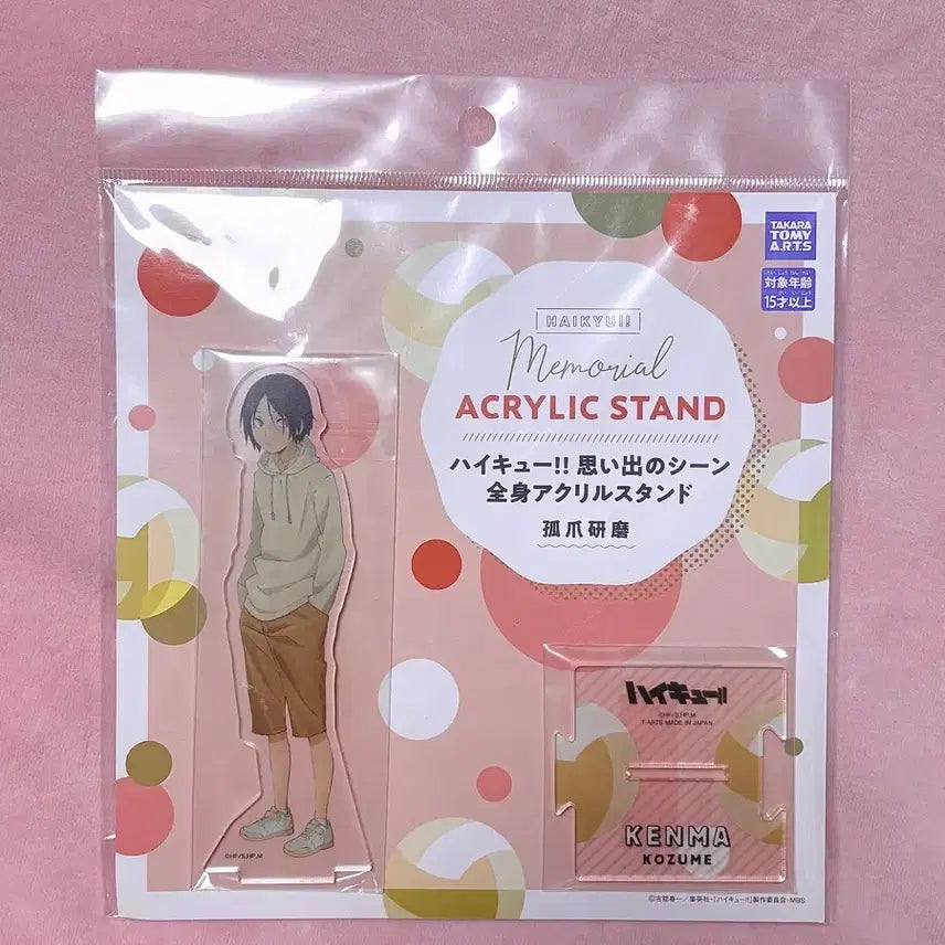 [BUNJANG] Haikyuu!! Kenma Kozume Childhood Acrylic Stand (Sealed) / (미개봉)하이큐!! 코즈메 네코마 켄마 유년 아크릴 스탠드