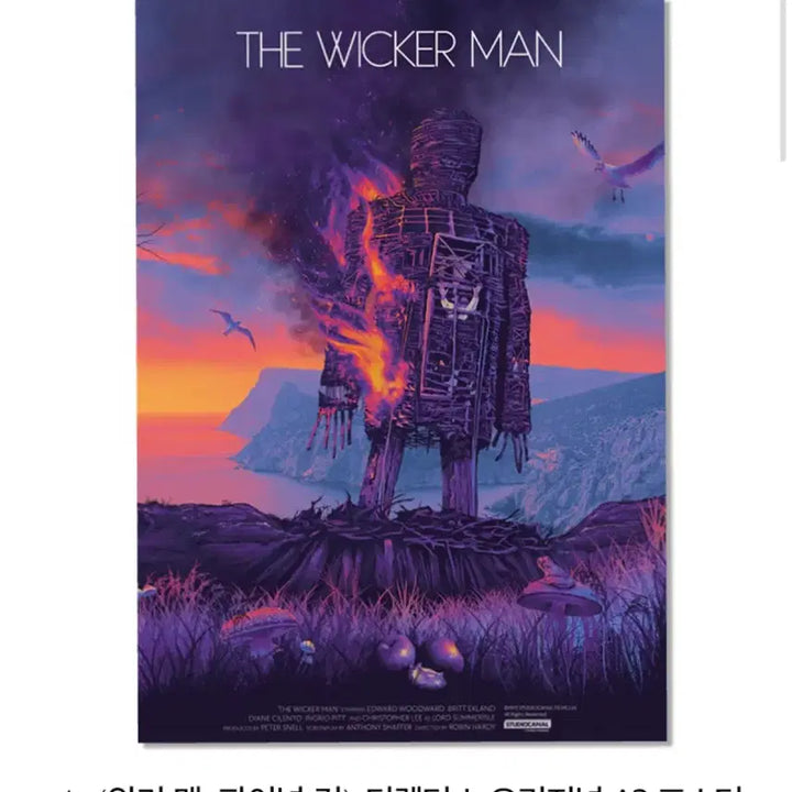 [BUNJANG] The Wicker Man Final Cut Original Poster (A3) / [안전포장] 위커맨 파이널컷 포스터