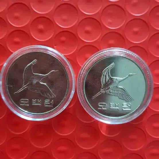 [BUNJANG] South Korean 500 Won Coins (2018, 2019) / 500원 동전 2018년 2019년 완미