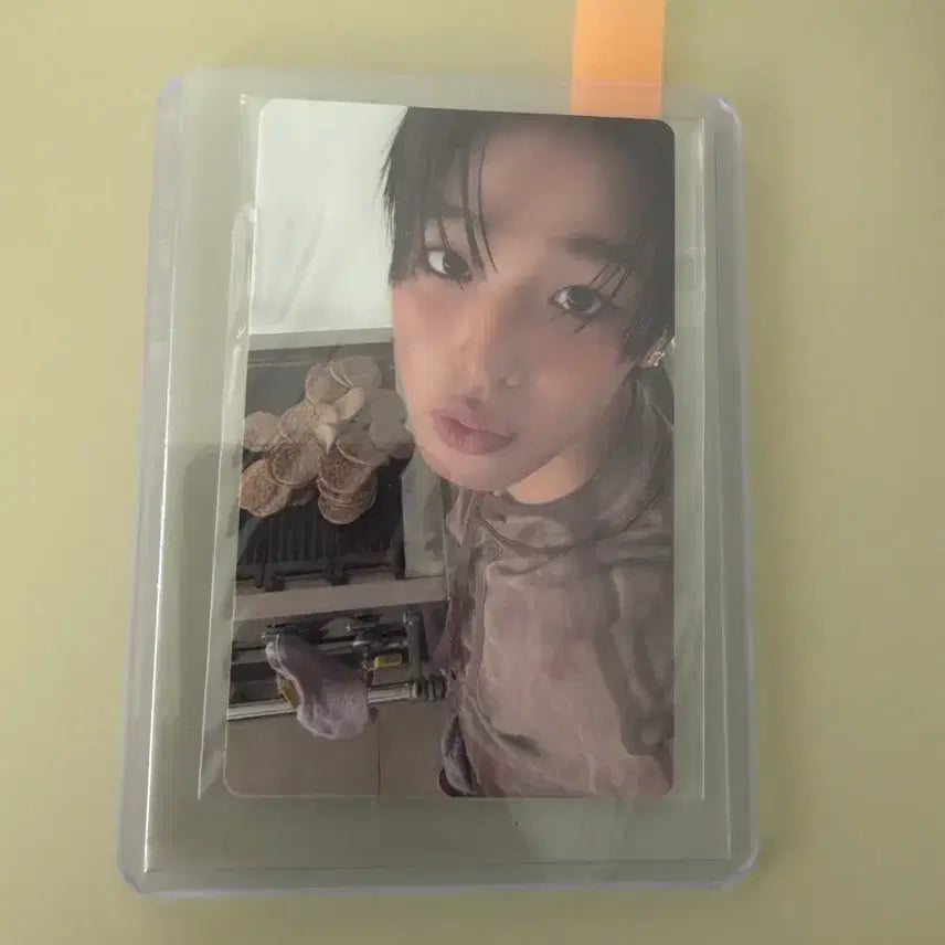 [BUNJANG] Riku Photocard / 위시 포카 팔아용(리쿠)