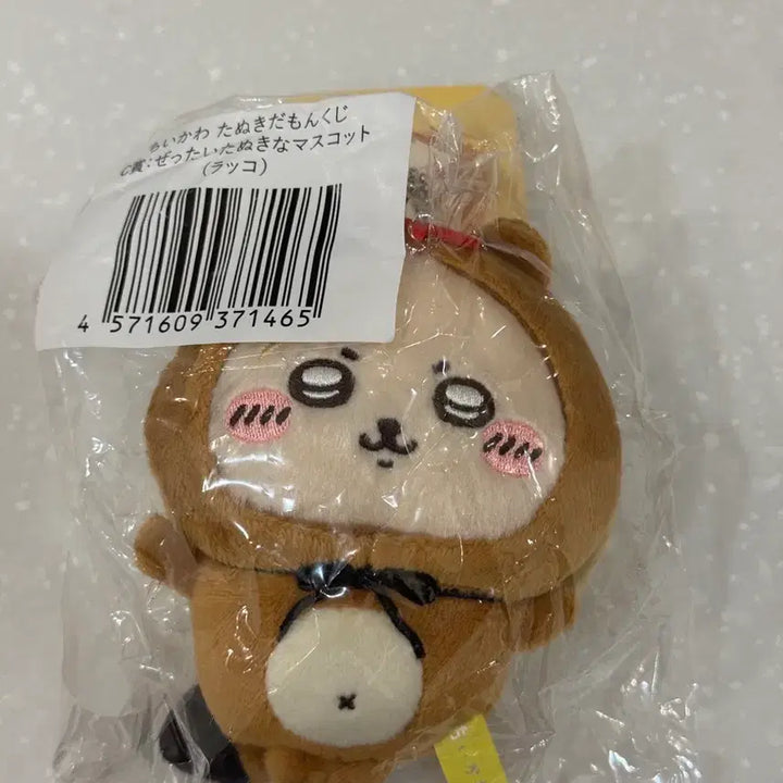 [BUNJANG] Chiikawa Raccoon Keychain (Tag Missing) / 치이카와 쿠지 키링 너구리 랏코 (택분실)
