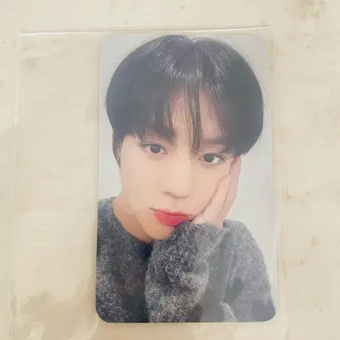 [BUNJANG] Park Jihoon Birthday Cafe Photocard / 박지훈 생일카페 포토카드