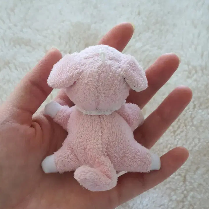 [BUNJANG] Heart Tag Pig Plush / 하트택 돼지인형